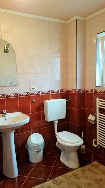 Casa Flamingo Ξενοδοχείο Sovata Δωμάτιο φωτογραφία
